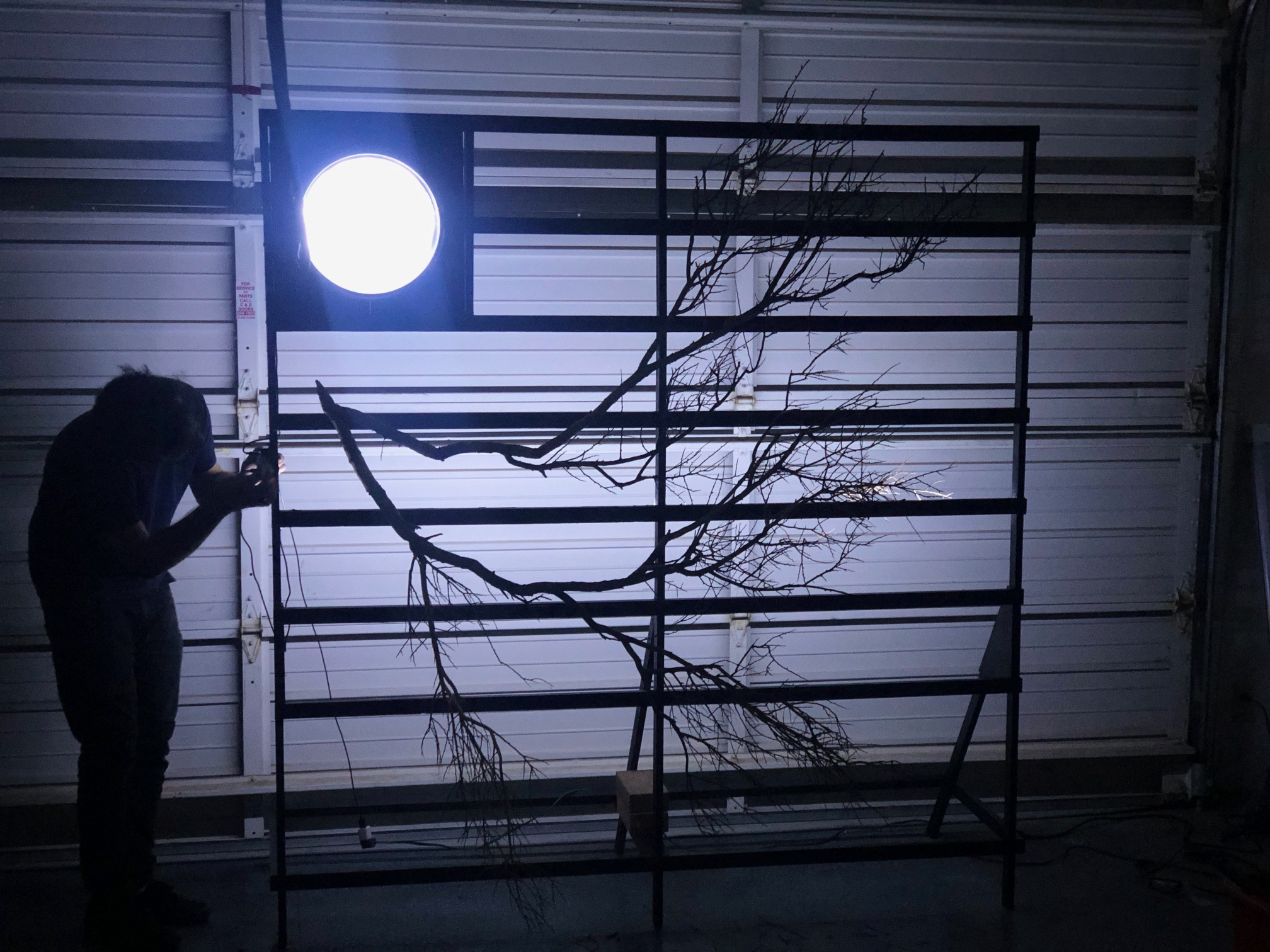 Desert Music & Art installation view